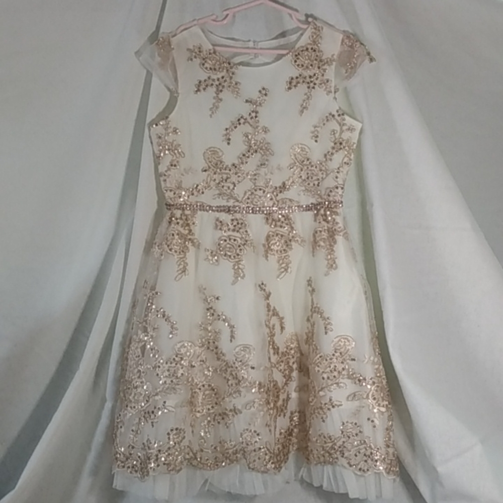 Rare Editions size 12 gold dress